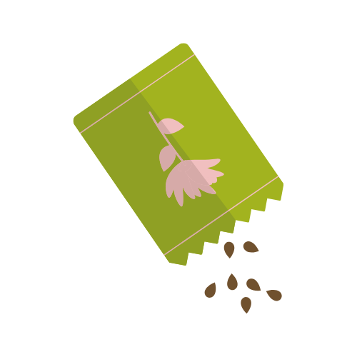 Local Seeds Store