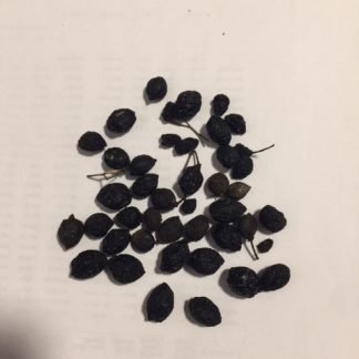 Quality curry leaf seeds