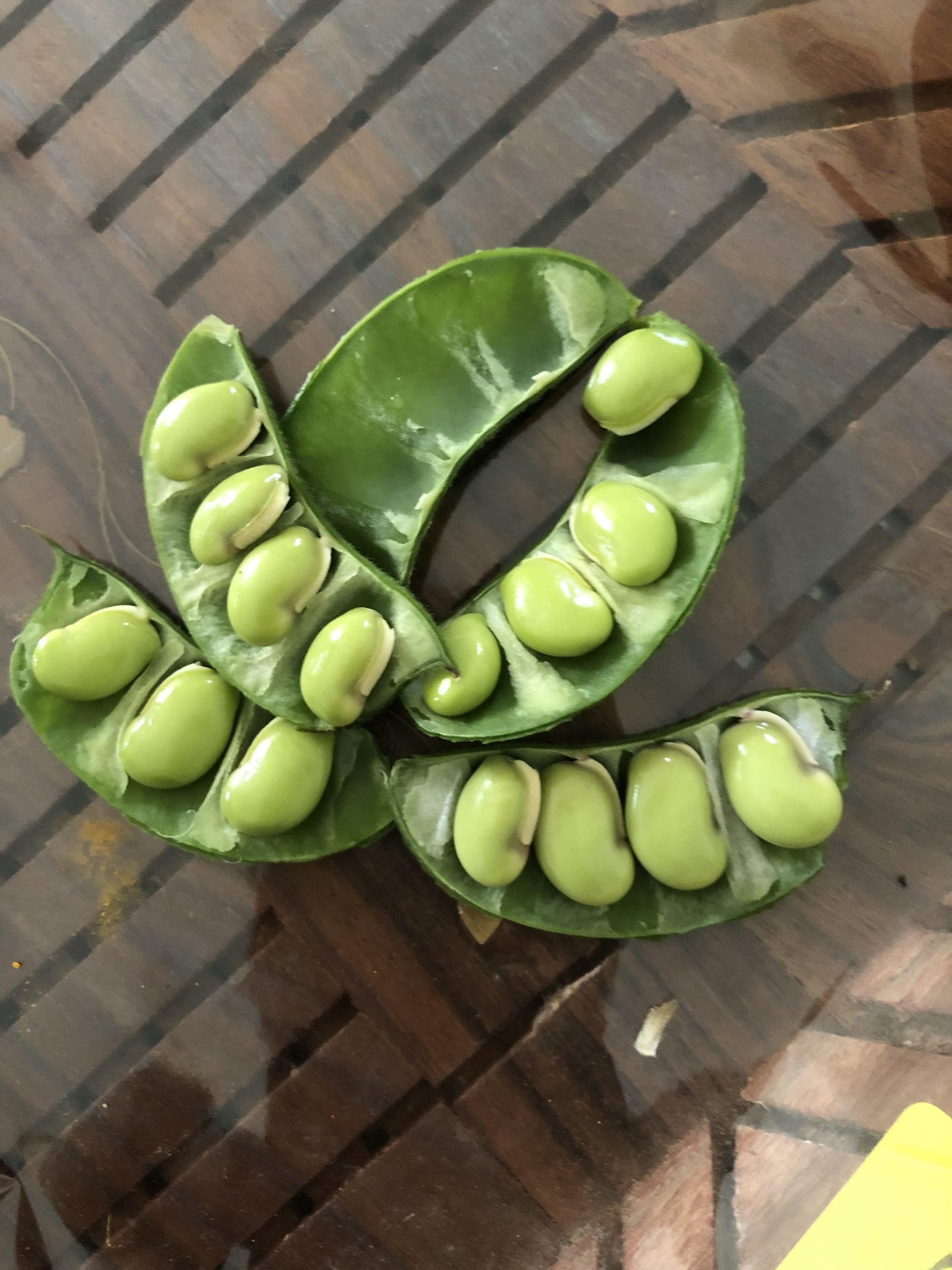 Organic Lablab bean vine variety /Indian Bean/Avarakkai Organic Lablab bean vine variety /Indian Bean/Avarakkai - Image 5