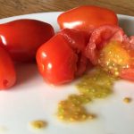 How to Save Tomato Seeds for Next Year How to Save Tomato Seeds for Next Year