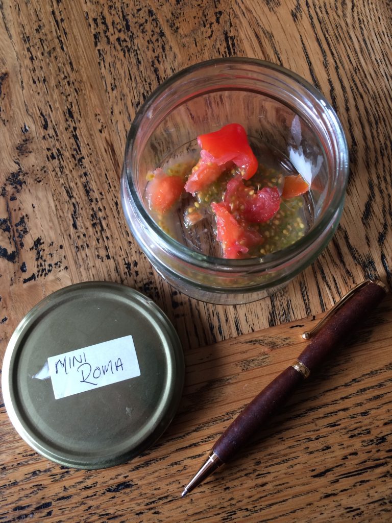 Mini Roma tomato seeds in a jar
