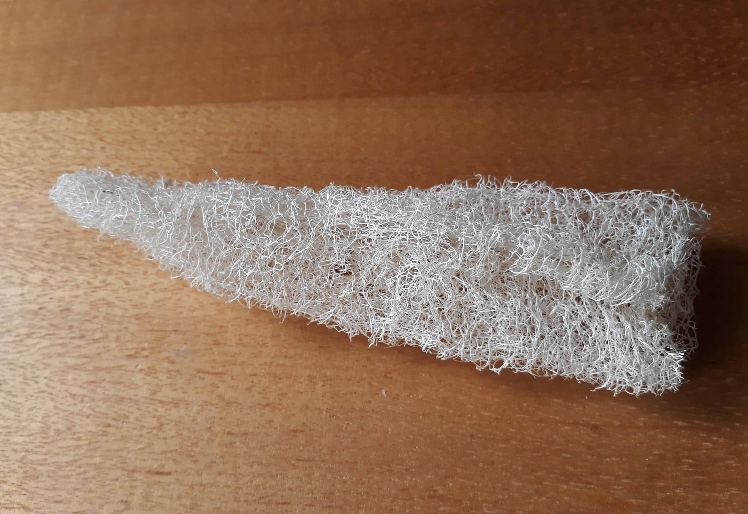 Luffa Luffa - Image 4