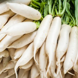 Radish Daikon