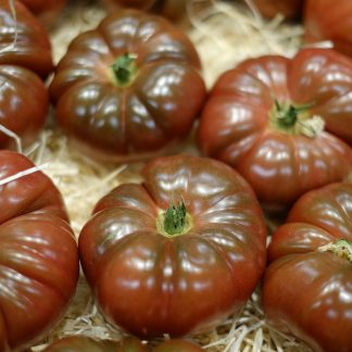 Tomato Purple Cherokee