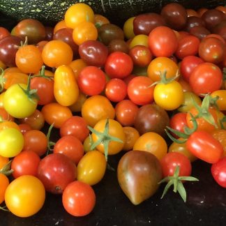 Mini tomatoes - Medley mix