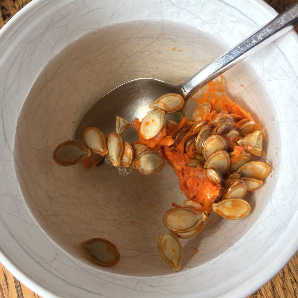 Removing the flesh from pumpkin seeds with water