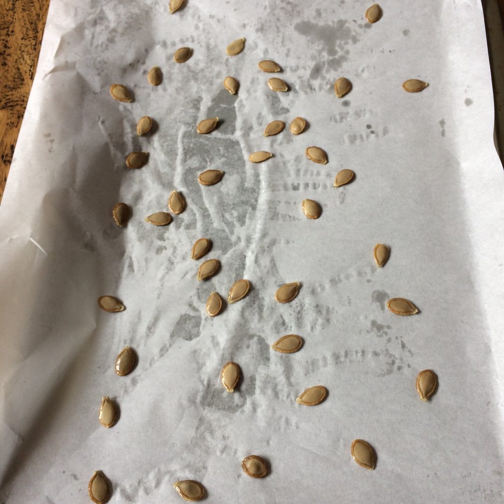 Drying pumpkin seeds on baking paper
