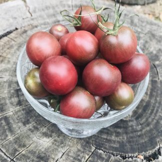 Tomato - Black Cherry