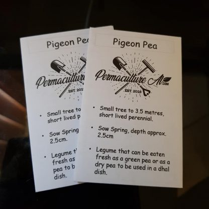 Pigeon Pea