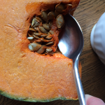 How to Save Pumpkin Seeds for Growing Next Year How to Save Pumpkin Seeds for Growing Next Year