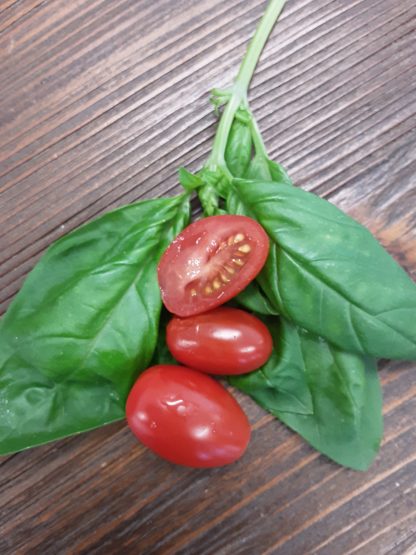 Micro Roma Tomato