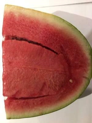 Watermelon Watermelon - Image 2
