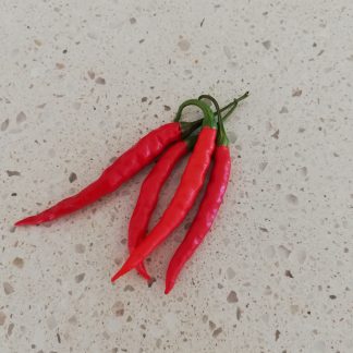 Thai Chilli