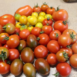 Tomato Mix