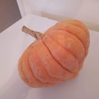 Macleay Valley Dry Pumpkin - Red Variety