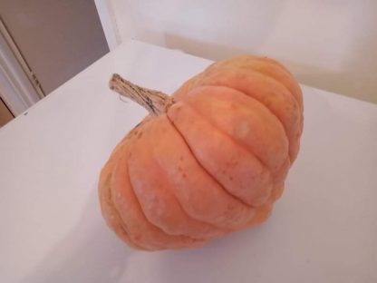 Macleay Valley Dry Pumpkin - Red Variety
