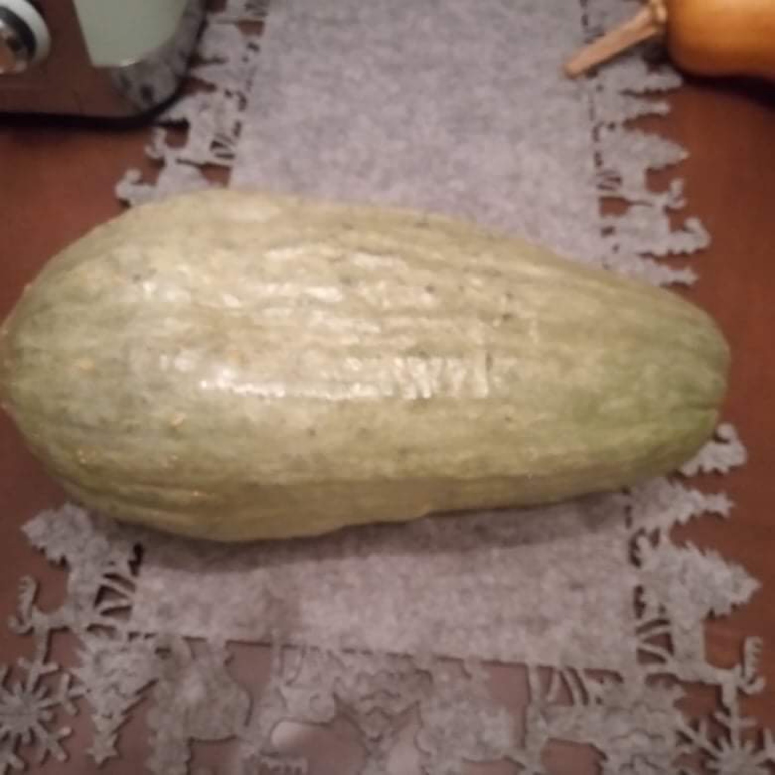 Blue Banana Squash Pumpkin Blue Banana Squash Pumpkin - Image 2