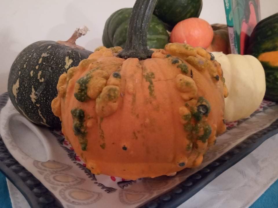 Pimply Squash Pimply Squash