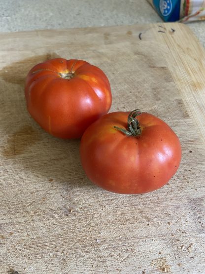 Tomato - Rouge De Marmande