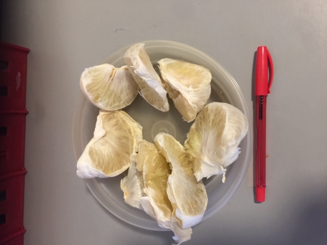 Pomelo Pomelo - Image 3