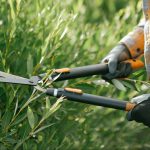 Preparing Your Garden for Winter Preparing Your Garden for Winter