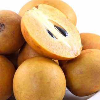 Sapodilla or Chiku or Chikoo