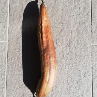 Luffa Aegyptica / Loofah