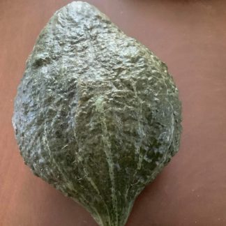 Baby Green Hubbard Squash