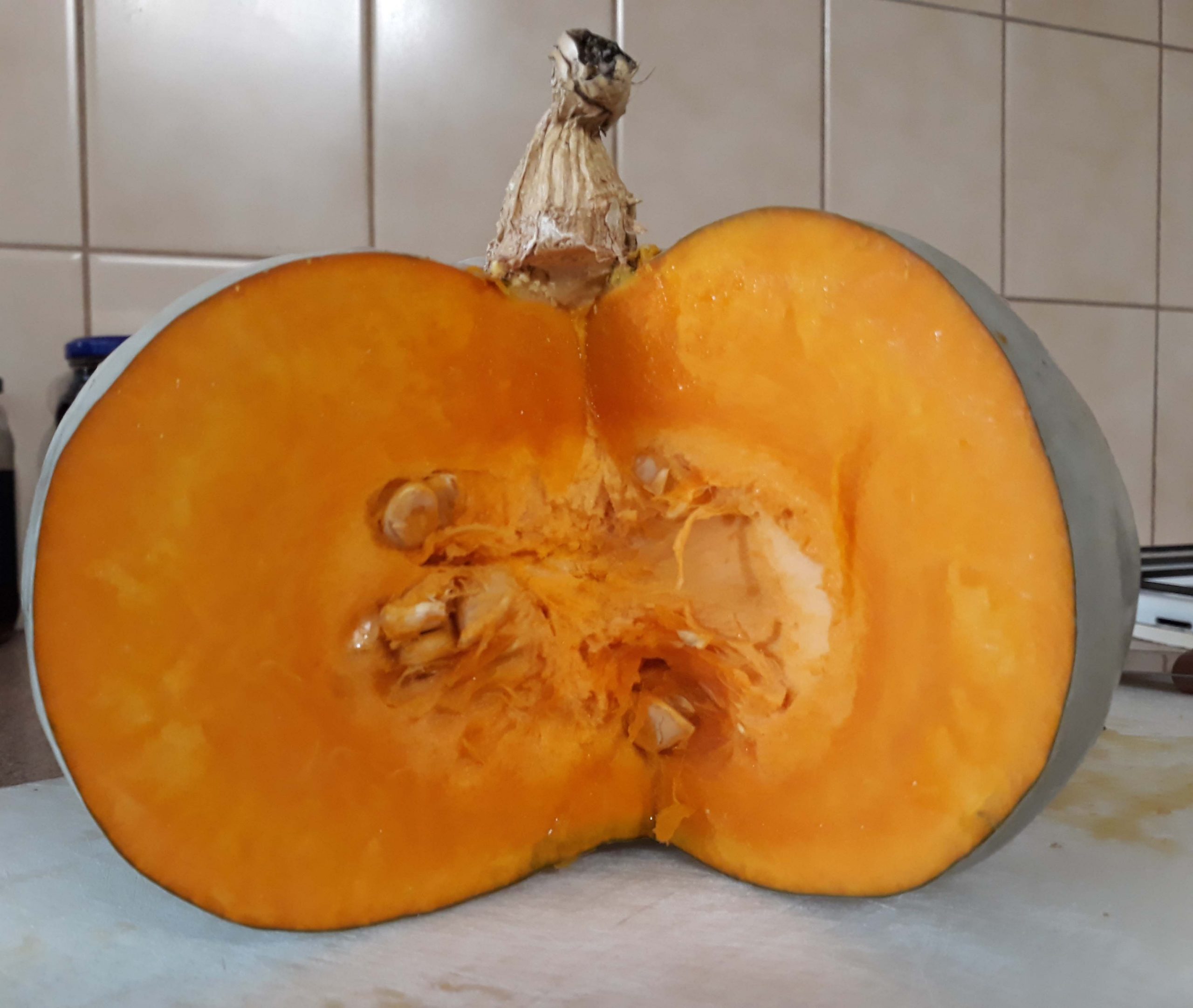 Pumpkin Mix : Queensland Blue + Kent/Jap Pumpkin Mix : Queensland Blue + Kent/Jap - Image 3