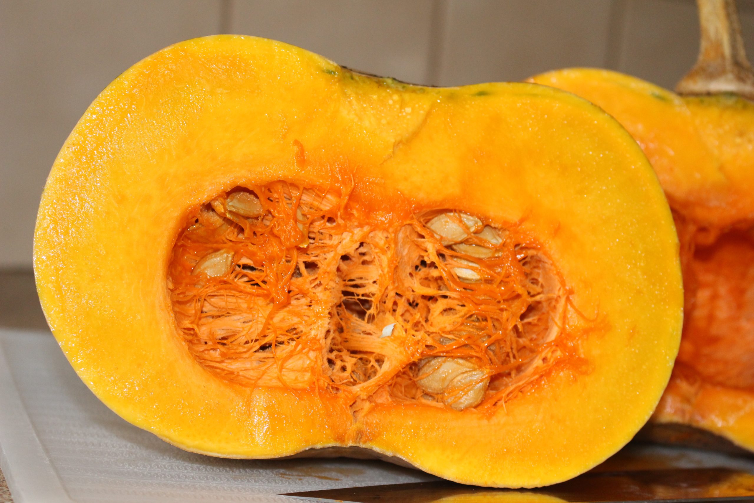 Pumpkin Mix : Queensland Blue + Kent/Jap Pumpkin Mix : Queensland Blue + Kent/Jap - Image 2