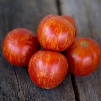 Tomato Tigerella