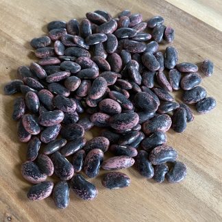 Scarlet Runner Beans