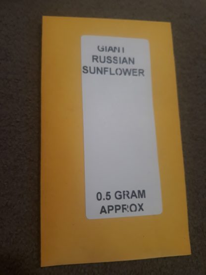 Giant Russian Sunflower