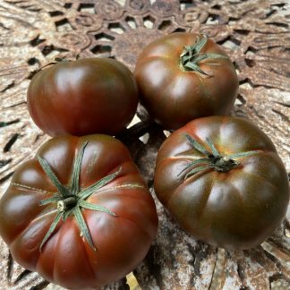 Black Russian Tomato