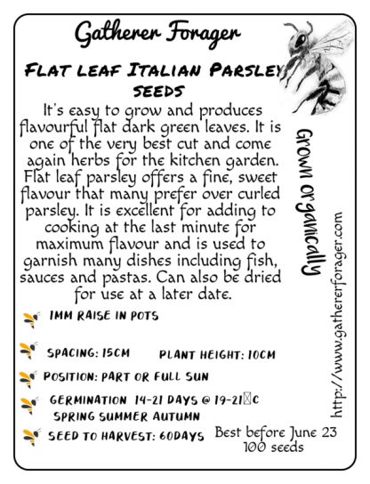 Parsley Italian flat leaf