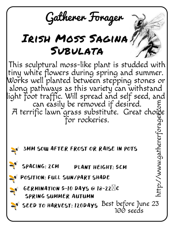Irish Moss Irish Moss - Image 2