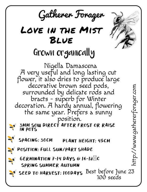 Love in the Mist Nigella Blue Love in the Mist Nigella Blue - Image 2