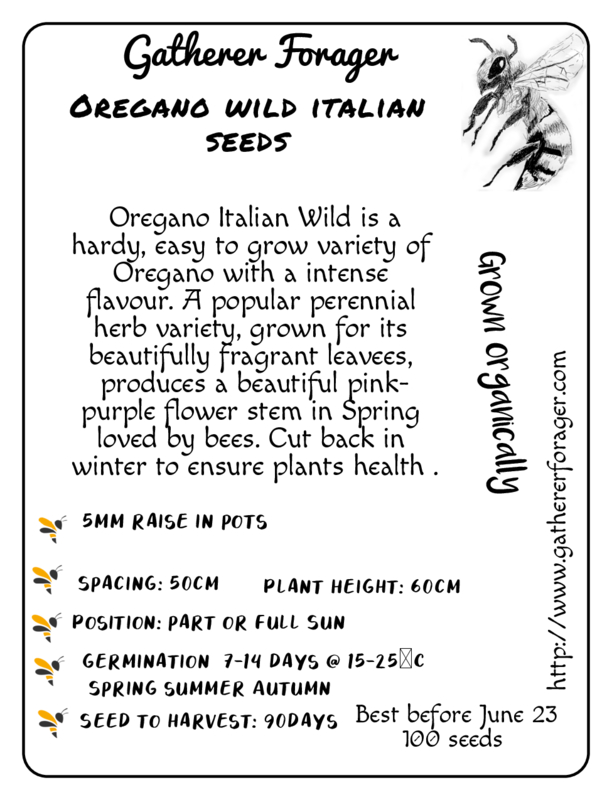 Oregano (wild marojam) Oregano (wild marojam) - Image 2