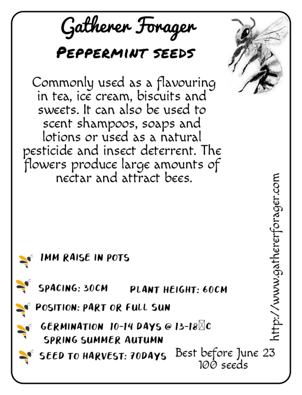 Peppermint Peppermint - Image 2