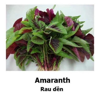 Amaranth mixed