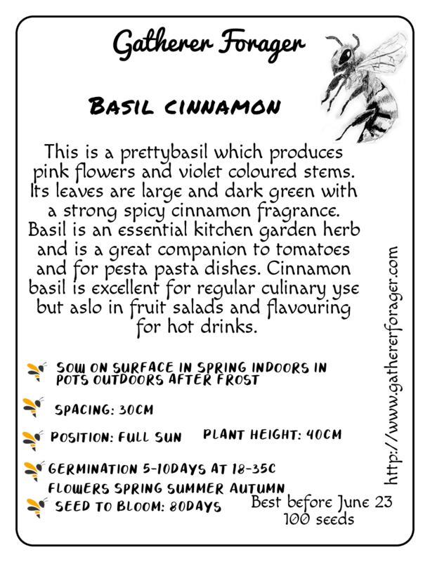 Basil cinnamon Basil cinnamon