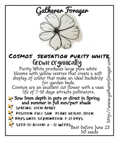 Cosmos Sensation Purity white