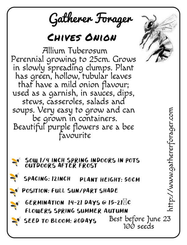 Onion chives Onion chives - Image 2