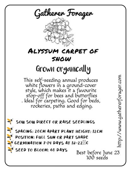Snow Alyssum