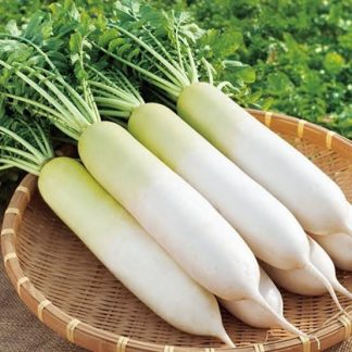 White radish
