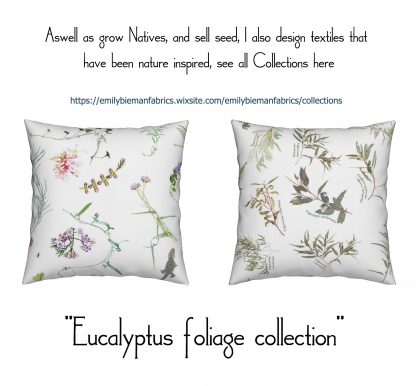 Eucalyptus Textiles, Cashion Covers with Native Plant Fabrics Eucalypts Foliage Collection 3