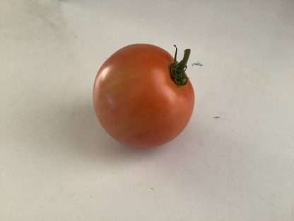 Heirloom Mix Tomato