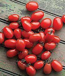 Tomato Cherry Roma