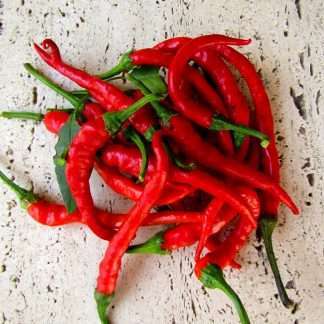 Chilli Pepper Cayenne