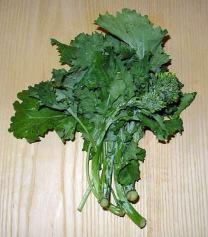 Organic Broccoli Rapini